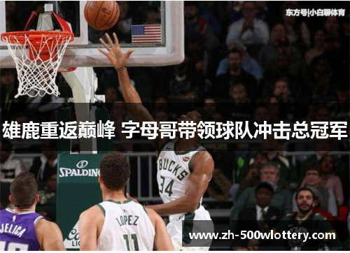 雄鹿重返巅峰 字母哥带领球队冲击总冠军